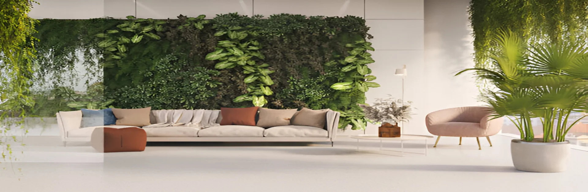 good luck plants for home