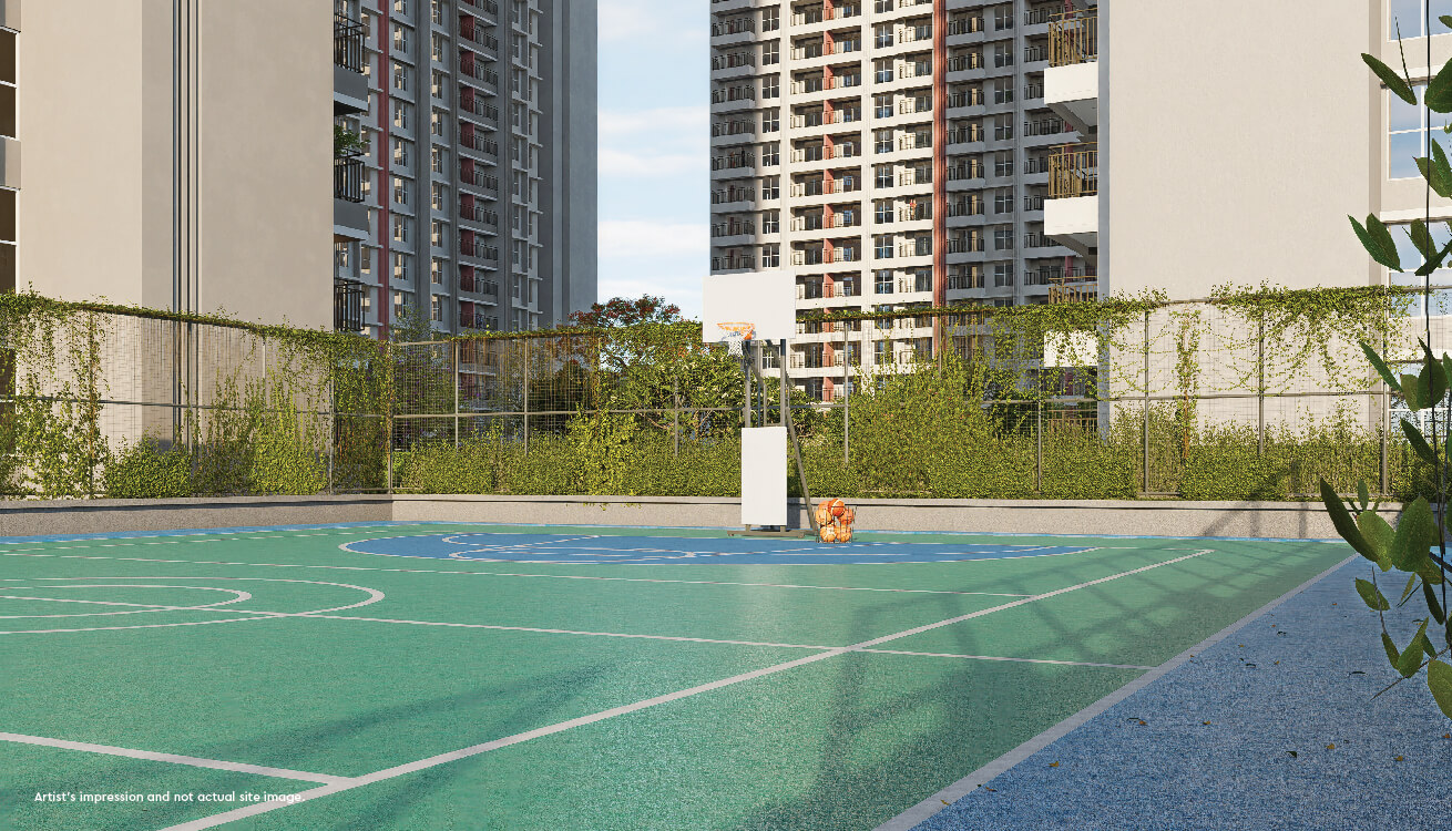 Multi Purpose Court