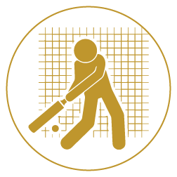 Cricket Net