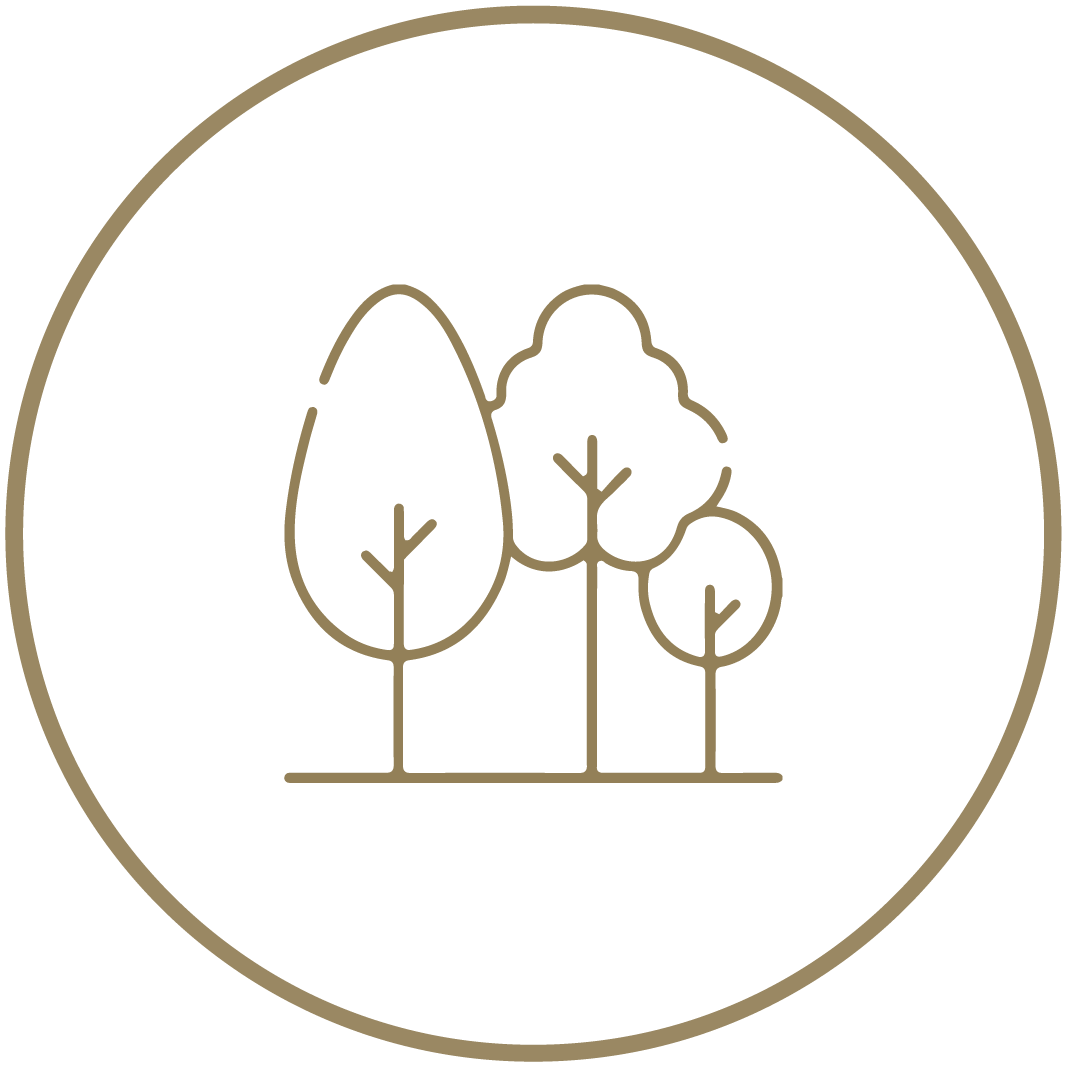 Curated Greens