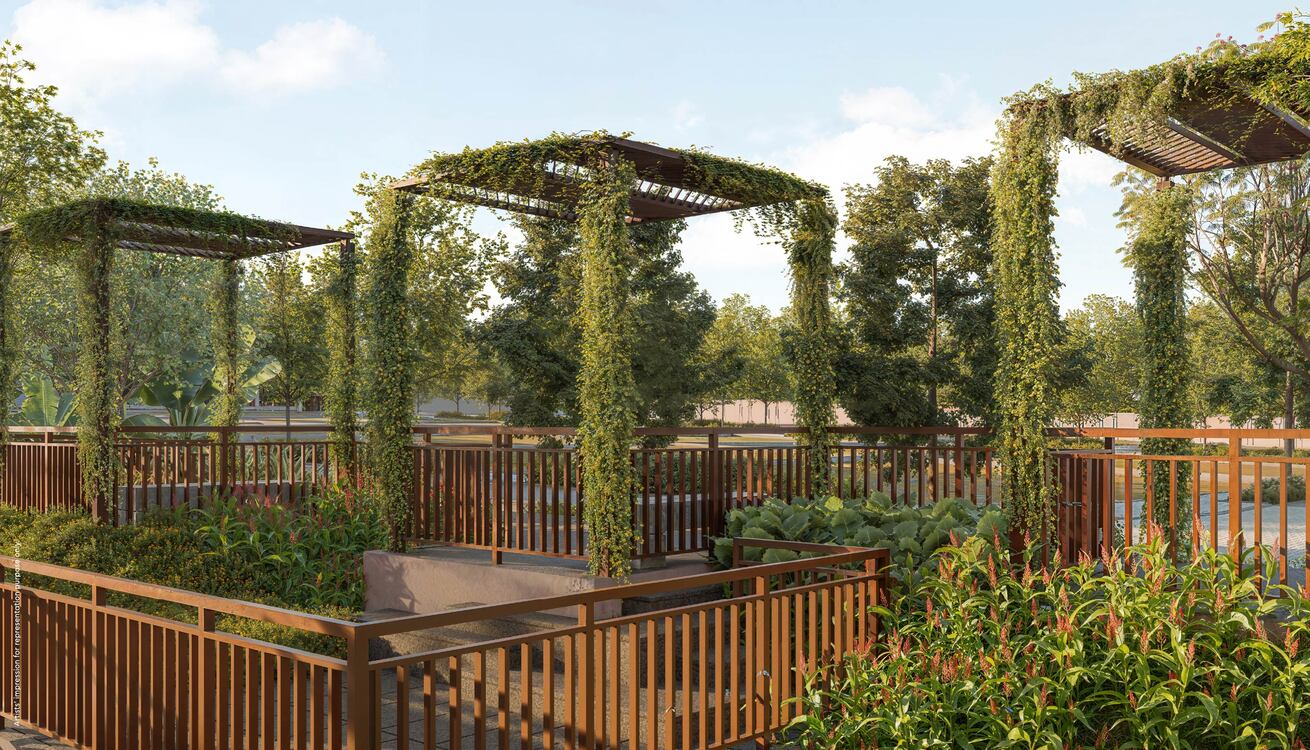 Pergola