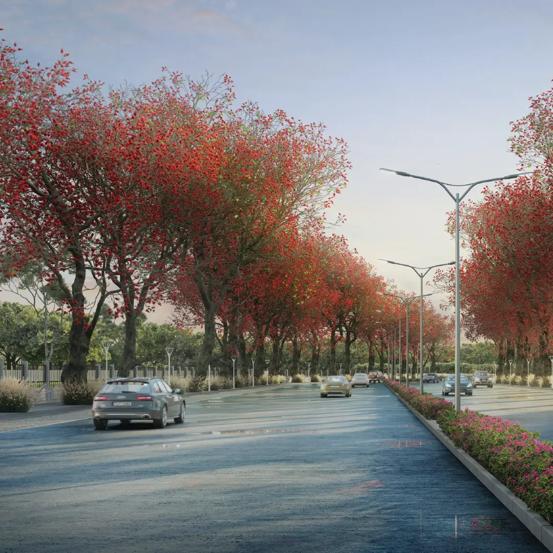 36M Road View