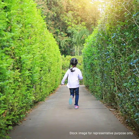 Godrej Vistas, Maze Garden