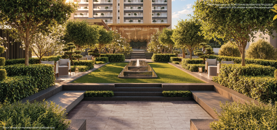 Landscaped Garden