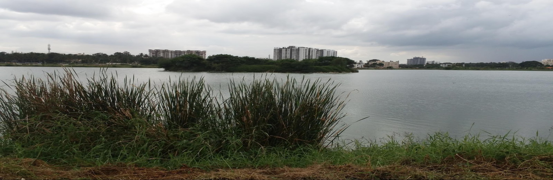 Rachenahalli Lake Thanisandra