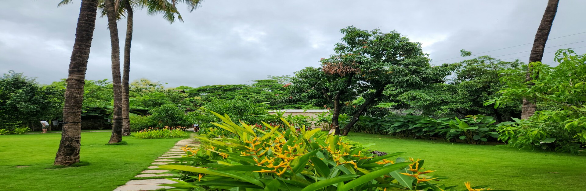 Landscaped gardens and open green spaces